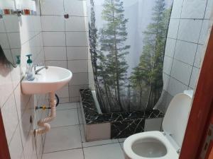 AgodékéにあるGrace Divine Villa Dadaのトイレ、洗面台、シャワー付きのバスルーム