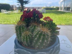 Zahrada ubytování SUITEBEACH b&b and resort