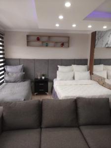 a living room with two beds and a couch at Viva Guest House in Trevallyn
