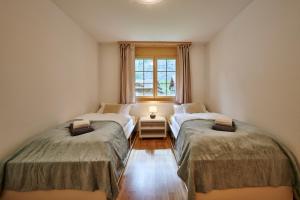 two twin beds in a room with a window at Great Location, Spacious, nice views, modern in Lauterbrunnen