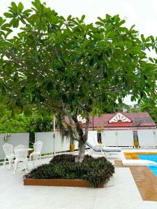 Zahrada ubytování 2bedroom 2 bath CondoaroundonekmfromAonang beach + 15 fotografií