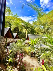 een resort met planten en bomen op de achtergrond bij Buena Onda Bungalows in Santa Teresa Beach