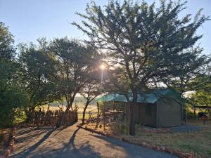 a tent under a tree with the sun behind it at Ou Kraal Tented Lodge in Boshoek