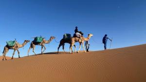 a group of people riding camels in the desert at Luxury Diaries Camp in Merzouga