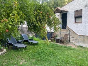 un groupe de chaises et de tables sous un pommier dans l'établissement Loft Rural El Pajar del Molino, à Benamahoma