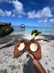 Příroda nedaleko apartmánu + 4 fotografie