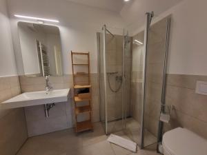 a bathroom with a shower and a sink and a mirror at Böhler Haubarg Böhler Stuv 7 in Böhl +28 photos