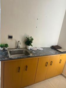 a kitchen counter with a sink and two potted plants at Amara heaven in Lucknow +6 photos