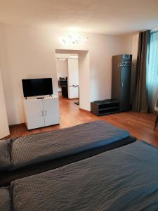 a living room with a bed and a flat screen tv at B&B Berninapass in Poschiavo