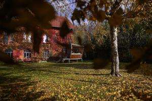 una casa con un árbol delante en Sleep Space 1 - Green&Tiny Spot Osterwieck Birkenmühle, en Osterwieck