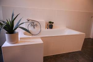 Un baño con bañera y una planta en maceta. en Sleep Space 1 - Green&Tiny Spot Osterwieck Birkenmühle, en Osterwieck 32 fotos más
