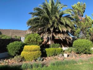 Zahrada ubytování Victoria Oaks Guesthouse