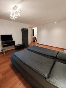 a bedroom with a large bed and a flat screen tv at B&B Berninapass in Poschiavo