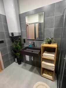 a bathroom with a black sink and a mirror at Apartmán u Dolní Moravy in Prostřední Lipka +8 photos
