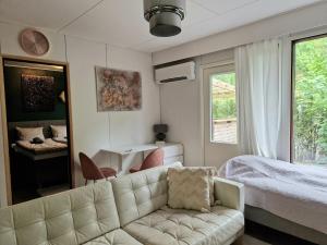 a living room with a couch and a bed and a mirror at Golden apartment- parking, wifi and sauna in Raisio