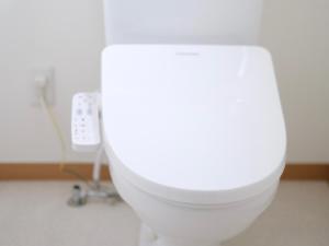 Un inodoro blanco en un baño con toma de corriente. en wanderers Inn, en Tanabe