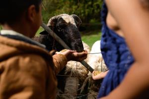a man feeding a woman feeding a dog through a fence at Tuscan Farmhouse in Launching Place