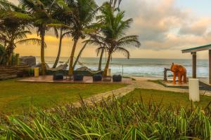 una estatua de un caballo en la playa en Mask & Tide, en Ambalangoda