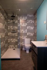 a bathroom with a shower and a toilet and a sink at Studio tout Équipé in Cambrai