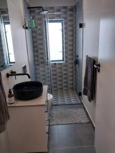 a bathroom with a shower with a sink and a toilet at White Feather Guest Room and Wellness Spa in Yzerfontein +28 photos