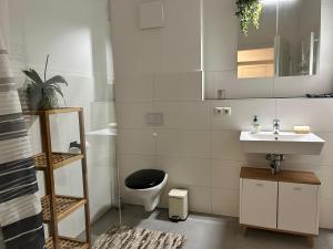 une salle de bains avec toilettes et lavabo dans l'établissement Stylische Wohnung mit Garten im Zentrum, à Neumünster