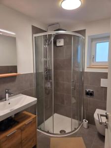 FaulenfürstSchwarzwaldblick Rothaus-2 Fewo的浴室配有淋浴和洗手池