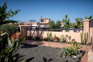 a garden in front of a house with plants at Alma Ventura House - Majanicho in Majanicho