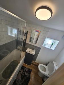 ロンドンにあるSky homesのシャワー、トイレ、洗面台を備えたバスルーム