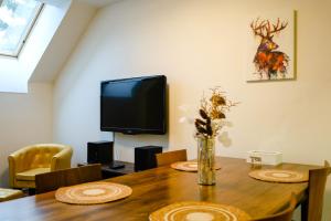 TV a/nebo společenská místnost v ubytování Apartmán 44