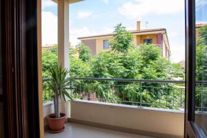balcone con vista su una pianta in vaso di Casa della Zia a Marotta
