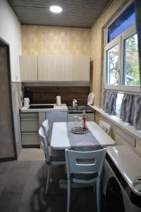 バチュカ・パランカにあるStan na dan 4youのキッチンにテーブルと椅子がある
