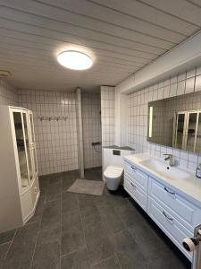 a bathroom with a toilet and a sink and a mirror at Hyggelig 2 plans villa i Hørning in Hørning +26 photos