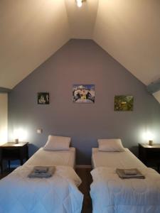 Zimmer mit 2 Betten im Dachgeschoss in der Unterkunft domaine de la chapelliere 32 pers in Crouy-sur-Cosson