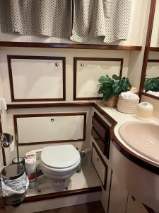 バレンシアにあるXanqueteのトイレと洗面台のあるバスルーム