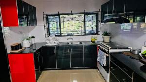 Η κουζίνα ή μικρή κουζίνα στο Dovi Hut