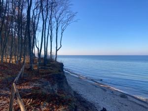 a beach with trees on the side of the water at Blue Apartment B, Dębina in Debina +9 photos