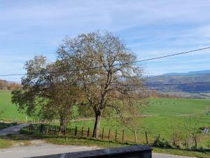 a tree in a field next to a fence at Logement indépendant au cœur d'une ferme in Blandin +7 photos