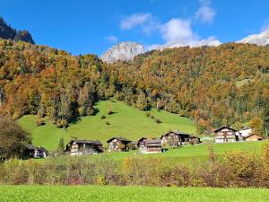 eine Gruppe von Häusern auf einem Feld in einem Berg in der Unterkunft Mattishüüsli - Chalet with a little garden in Luchsingen