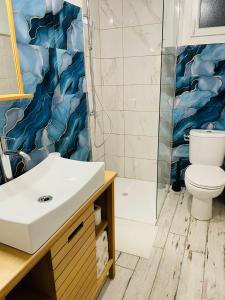 ein Badezimmer mit Toilette und Dusche in der Unterkunft Appartement fonctionnel in Malleval