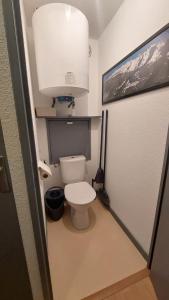 ein Bad mit einem WC mit einer Lampe darüber in der Unterkunft Studio avec Balcon - La Godille - 4 personnes in Les Adrets + 12 Fotos