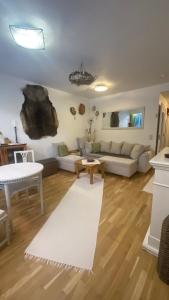 Et opholdsområde på Arctic Apartment