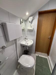 een kleine badkamer met toilet en wastafel bij Kuća za odmor Tina in Tounj +51 foto's