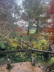 Un paseo marítimo de madera en un parque con árboles y hojas en The Holm, en Canonbie