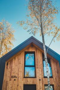 a tree growing on the side of a house at Brzozowy Rożnów in Rożnów