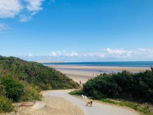 a dog walking down a sandy beach with people on the beach at Seaglass, The Bay - Filey Ground Floor Step Free Easy Access and Parking in Filey