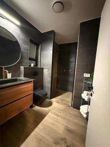 a bathroom with a sink and a toilet at וילה יובל in Yuval