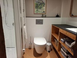 a bathroom with a white toilet and a sink at Mattishüüsli - Chalet with a little garden in Luchsingen +27 photos