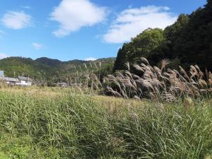 Loodusmaastik villa lähedal