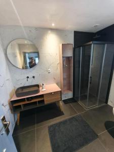 a bathroom with a sink and a mirror at Rez de villa avec beau jardin et belle vue in Saint-Laurent-du-Var