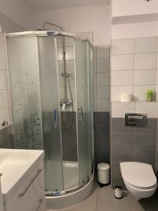 SkorkaにあるŚwieradów Zdrój Źródlana 2 - 100 metrów od gondoliのバスルーム(ガラス張りのシャワー、トイレ付)